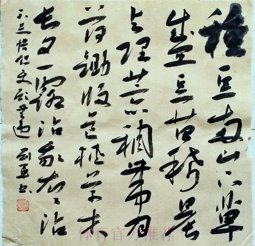 银舰拾「贝」无难度